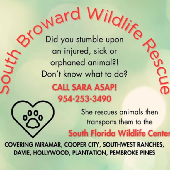 wildlife2024